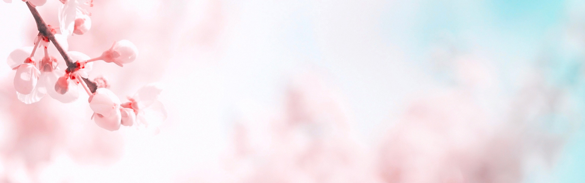 Libérez votre lumière pour devenir une source lumineuse pour les autres